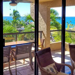 Apartment Downtown Kona With Pool Access Walk To Beach!